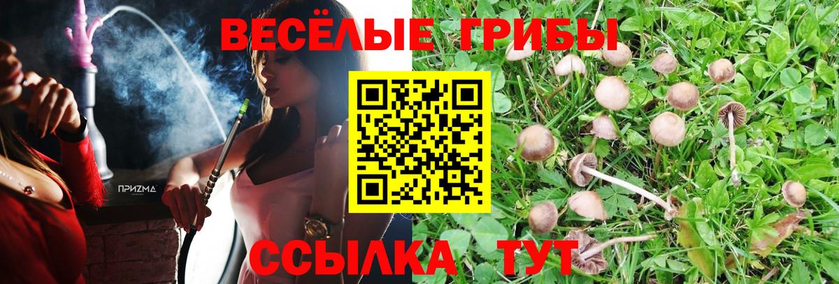 Галлюциногенные грибы Psilocybine cubensis Краснокамск