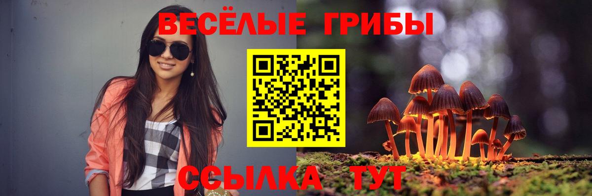 Псилоцибиновые грибы прущие грибы  Вход с VPN  Краснокамск 